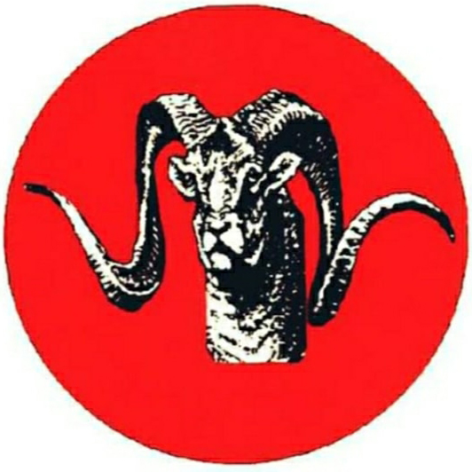 FWO Logo